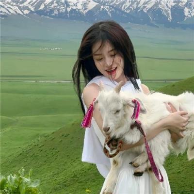 阴阳先生之末代天师